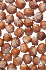 Image showing Hazelnuts