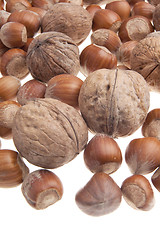 Image showing Nuts