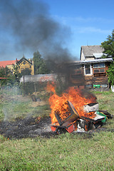 Image showing epidemy in the bee farming - destroying beehives