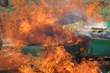 Image showing epidemy in the bee farming - destroying beehives