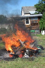 Image showing epidemy in the bee farming - destroying beehives