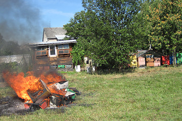 Image showing epidemy in the bee farming - destroying beehives