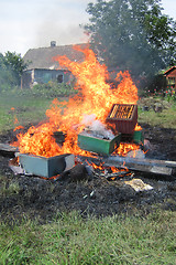 Image showing epidemy in the bee farming - destroying beehives