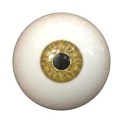 Image showing eye texture