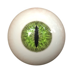 Image showing eye texture