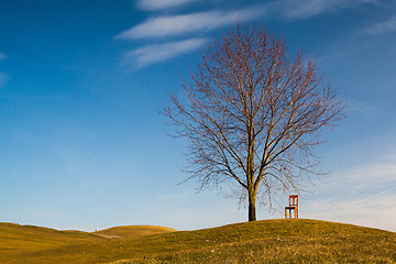 Image showing The old chair on the golf course