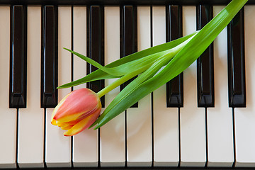 Image showing Music and flowers