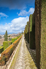 Image showing Gardens in Granada in winter