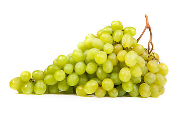 Image showing Bunch of Green Grapes laying isolated