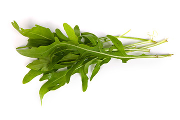 Image showing Arugula/rucola  fresh heap leaf on white