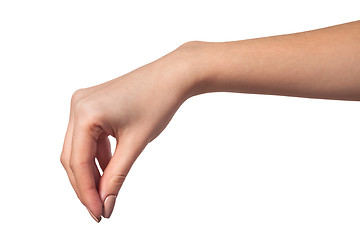 Image showing Female hand reaching for something on white