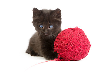 Image showing Black kitten playing with a red ball of yarn on white background