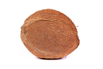 Image showing Coconut on a white background