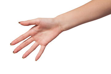 Image showing Hand gesture of Female isolated on white