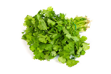 Image showing Parsley tied in a bunch with twine isolated