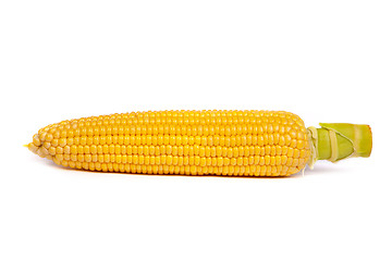 Image showing Fresh uncooked corn on the cob