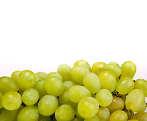 Image showing Bunch of Green Grapes laying isolated