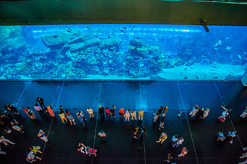 Image showing Largest aquarium of the world in Dubai Mall