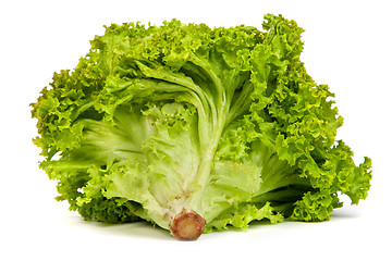 Image showing Fresh Green Lettuce isolated on white