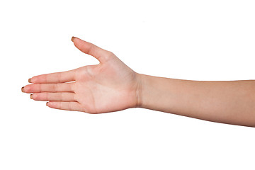 Image showing Hand a Female person who is  willing to make a deal isolated on 