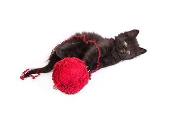 Image showing Black kitten playing with a red ball of yarn on white background