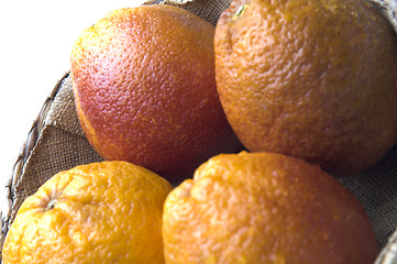 Image showing blood oranges