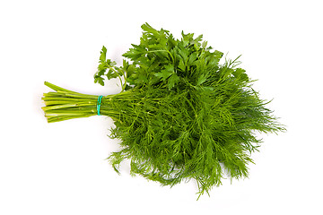 Image showing Fresh branches of green dill and Parsley tied isolated