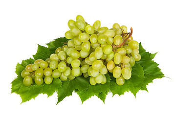 Image showing Grape