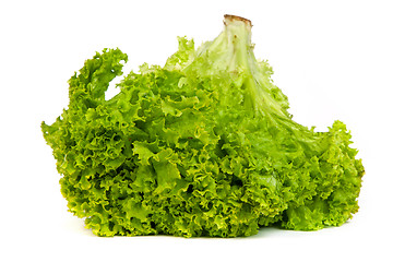 Image showing Fresh Green Lettuce isolated on white