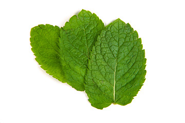 Image showing three fresh mint leaves isolated on white background