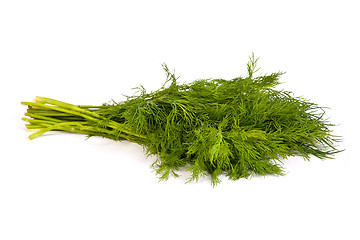 Image showing Fresh branches of green dill isolated