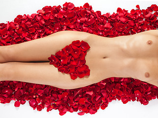 Image showing Part of the naked beautiful suntanned female body in petals of s