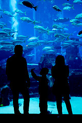 Image showing Huge aquarium in a hotel Atlantis in Dubai on the Palm islands