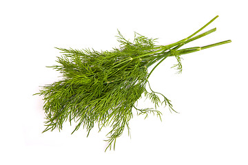 Image showing Fresh branches of green dill isolated