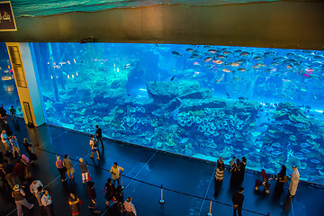 Image showing Largest aquarium of the world in Dubai Mall