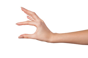 Image showing Female hand reaching for something on white