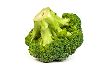 Image showing Single broccoli floret isolated on white