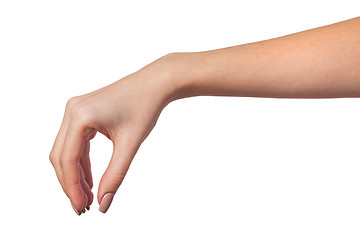 Image showing Female hand reaching for something on white