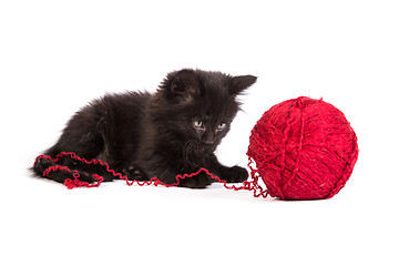 Image showing Black kitten playing with a red ball of yarn on white background