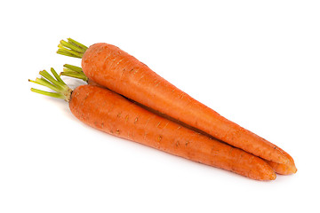 Image showing Bunch of fresh carrot isolated on white