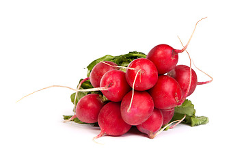 Image showing A bunch of fresh radishes isolated on white