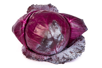 Image showing Red cabbage on white background.