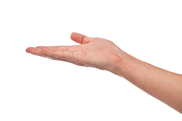 Image showing Open palm hand gesture of male hand