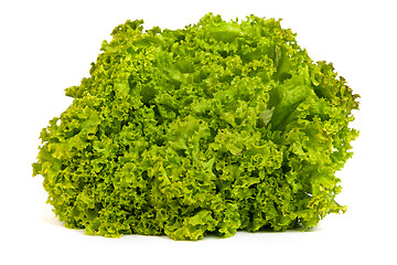 Image showing Fresh Green Lettuce isolated on white