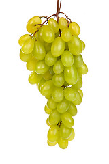 Image showing Bunch of Green Grapes laying isolated