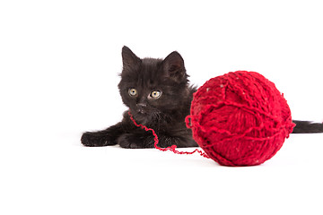 Image showing Black kitten playing with a red ball of yarn on white background