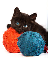 Image showing Black kitten playing with a red ball of yarn on white background