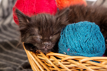 Image showing Black kitten playing with a red ball of yarn on white background