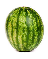 Image showing Fresh, ripe, juicy watermelon. Shot on White