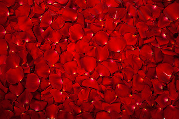 Image showing Background of red rose petals